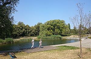 Park Szymańskiego pięknie się starzeje