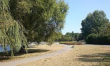 Park Szymańskiego pięknie się starzeje