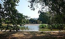 Park Szymańskiego pięknie się starzeje