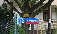 Dąb z Goworowskiej skończył 70 lat!