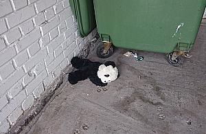 Smutna panda z Nowodworów
