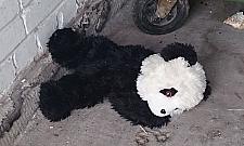 Smutna panda z Nowodworów