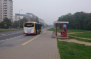 518 nie daje rady. "Potrzebne większe autobusy"