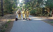 Akcja poszukiwawcza w Wawrze. Dwie noce spędził w lesie