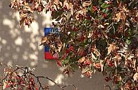 Odczytasz tę nazwę? Idiotyczne miejsce na tablicę