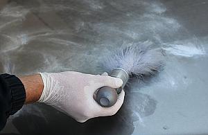 Kangur na Bielanach? Przespacerował się po autach