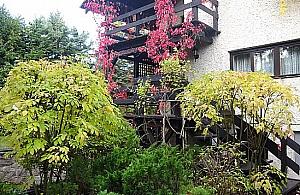 W ogrodach czytelników kolorowo jak w bajce