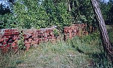 Tak się rodzą, umierają i odradzają cmentarze