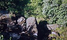 Tak się rodzą, umierają i odradzają cmentarze