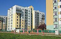 "Burmistrz deweloperów", czyli gdzie się podziało 40 mln?