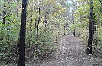 Ponad trzy tysiące drzew zostanie zasadzonych na Henrykowie