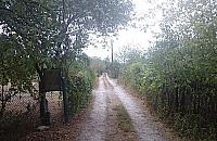 W labiryncie działek na Żeraniu