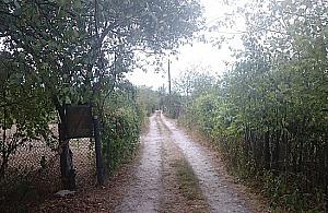 W labiryncie działek na Żeraniu