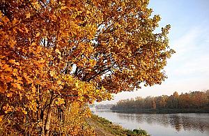 Co dalej z gazociągiem wzdłuż Kanału Żerańskiego? Będzie spotkanie