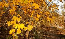 Co dalej z gazociągiem wzdłuż Kanału Żerańskiego? Będzie spotkanie