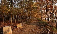 Co dalej z gazociągiem wzdłuż Kanału Żerańskiego? Będzie spotkanie