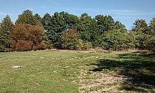 Jakie będą szkoły przy ul. Verdiego i Ruskowym Brodzie?