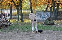 Wybieg dla psów przy Perzyńskiego przeszkadza. Komu?
