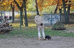 Wybieg dla psów przy Perzyńskiego przeszkadza. Komu?