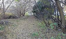 Smutna jest jesień na Wieśniaczej