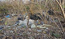 Smutna jest jesień na Wieśniaczej