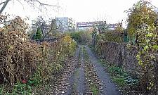 Smutna jest jesień na Wieśniaczej