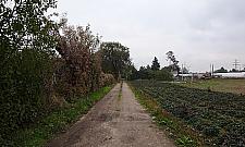 Szklarnie, drewniaki i... dom publiczny. Takie cuda na Brzezinach!