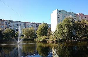 Nowe mostki i ścianki do wspinaczki: Stawy Brustmana będą wizytówką dzielnicy