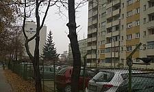 Kto zniszczył drzewa na Księcia Janusza?