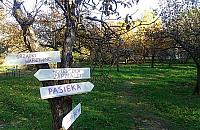 Na złość wandalom w ogrodzie społecznościowym