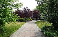 Plac Kasztelański bez szans na nowe życie?