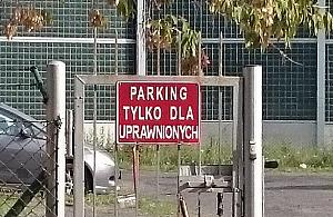 Żuloskwery i dziadoparkingi, czyli nasza codzienność