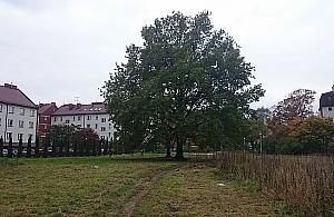 Park Wawrzyszewski - nie ma go, ale jest