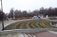 Co się stało kwiatkom w naszym parku?