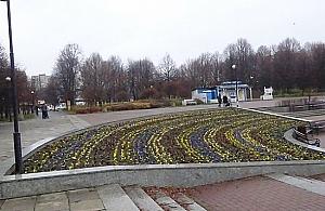 Co się stało kwiatkom w naszym parku?