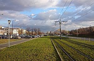 Cztery pasy Światowida za trzy lata. Poznaliśmy nowy projekt