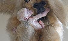 ZOO ma nowych mieszkańców