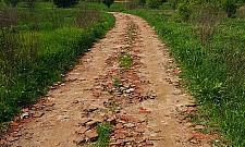 Na Białołęce, czyli w Markach