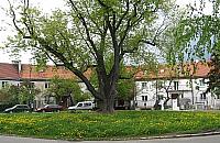 Żoliborz przeciwko mostowi. Będą konsultacje