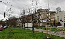 Mnóstwo nowych drzew i krzewów na Bielanach