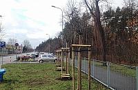 Więcej zieleni na Bemowie i Jelonkach