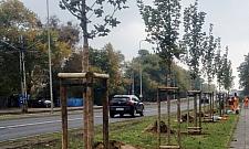 Więcej zieleni na Bemowie i Jelonkach