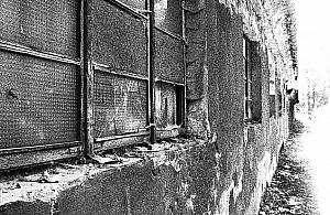 Życie codzienne na Woli. Najpiękniejsze zdjęcia