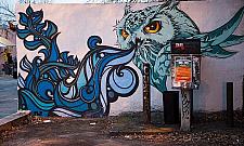 Drogowcy nie lubią sztuki ulicy?