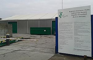 Kto chętny na darmową choinkę? Można ją dostać na Płytowej