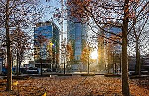 Nowy, wspaniały plac na Woli