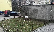 Młynów liczy na... motyle