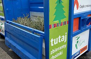 Co zrobić z uschniętą choinką?