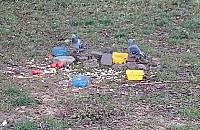 100 lat planowania na Bielanach