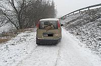 Złodzieje drewna wycinają rezerwat. ZOBACZ FILM